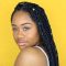 Twist Braid Hairstyles For African American Women 2020