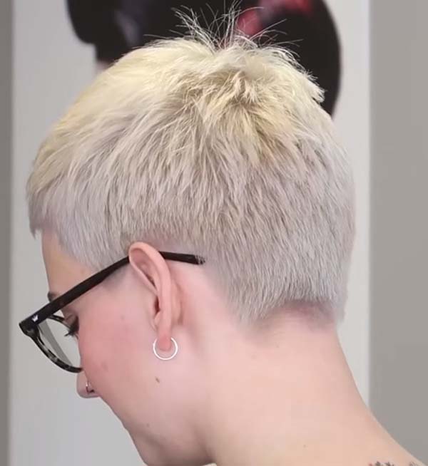 Super Short Pixie Hairstyles For Women Back View