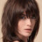 Pin On Wigs For Women Pertaining To Preferred Layered Shaggy Hairstyles