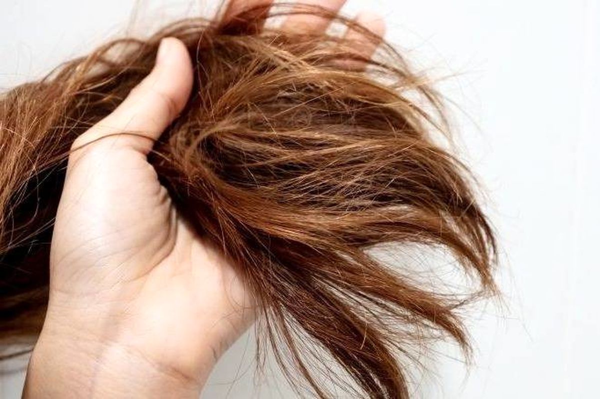 مویسر - Long Hair Care Tips