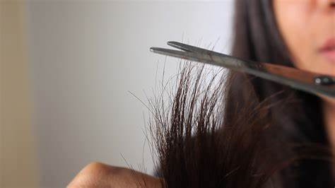 OIP 3 - Long Hair Care Tips